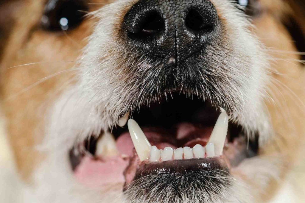 How much does it cost to have all your teeth pulled? Best of Indianapolis