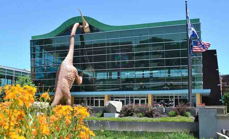 How do I spend a day in Indianapolis?